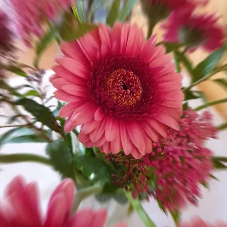 H5不来梅酒店 酒店 不莱梅