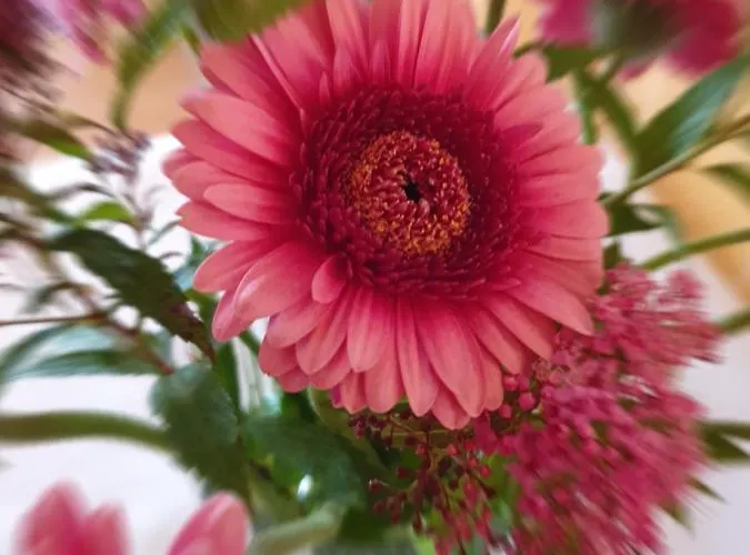 H5 Готель Бремен